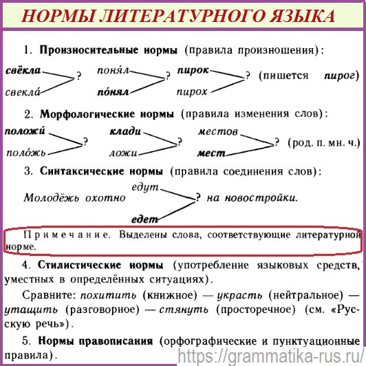 Русский литературный язык задания. Слова литературной нормы. Характеристика норм литературного языка. Нормы литературного произведения это. Литературные правила сравнения.