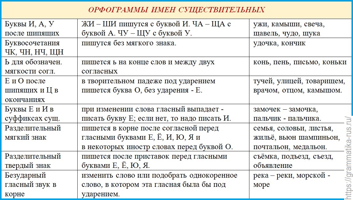 Русский язык существительное бывают. Орфограммы имен существительных. Орфограммы существитель. Имя существительное орфограммы. Орфограммы существительных 6 класс.