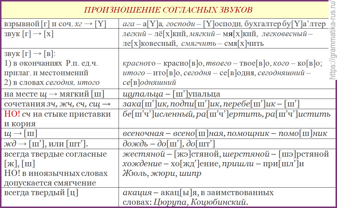 Сравни как произносится. Произношение согласных звуков. Нормы произношения согласных звуков в русском. Нормы произношения гласных и согласных звуков. Законы произношения согласных звуков и звуковых сочетаний..